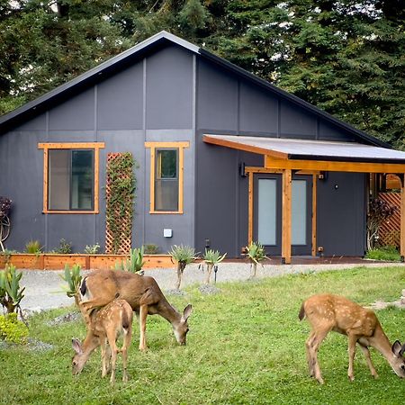 New, Modern, Country-Feel, Close To Arcata Exterior foto