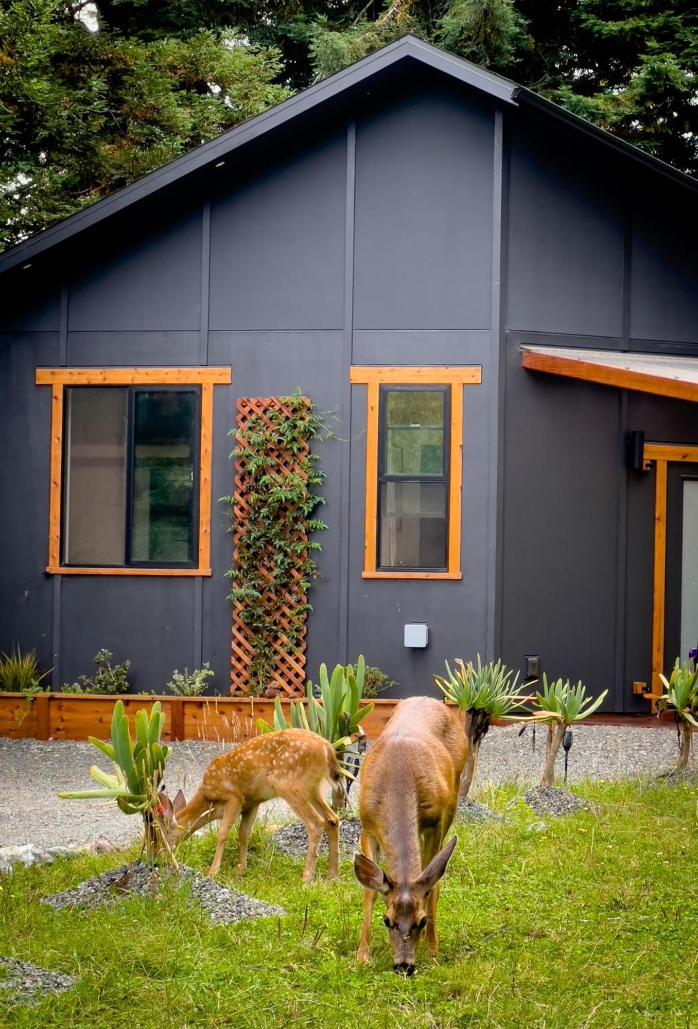 New, Modern, Country-Feel, Close To Arcata Exterior foto