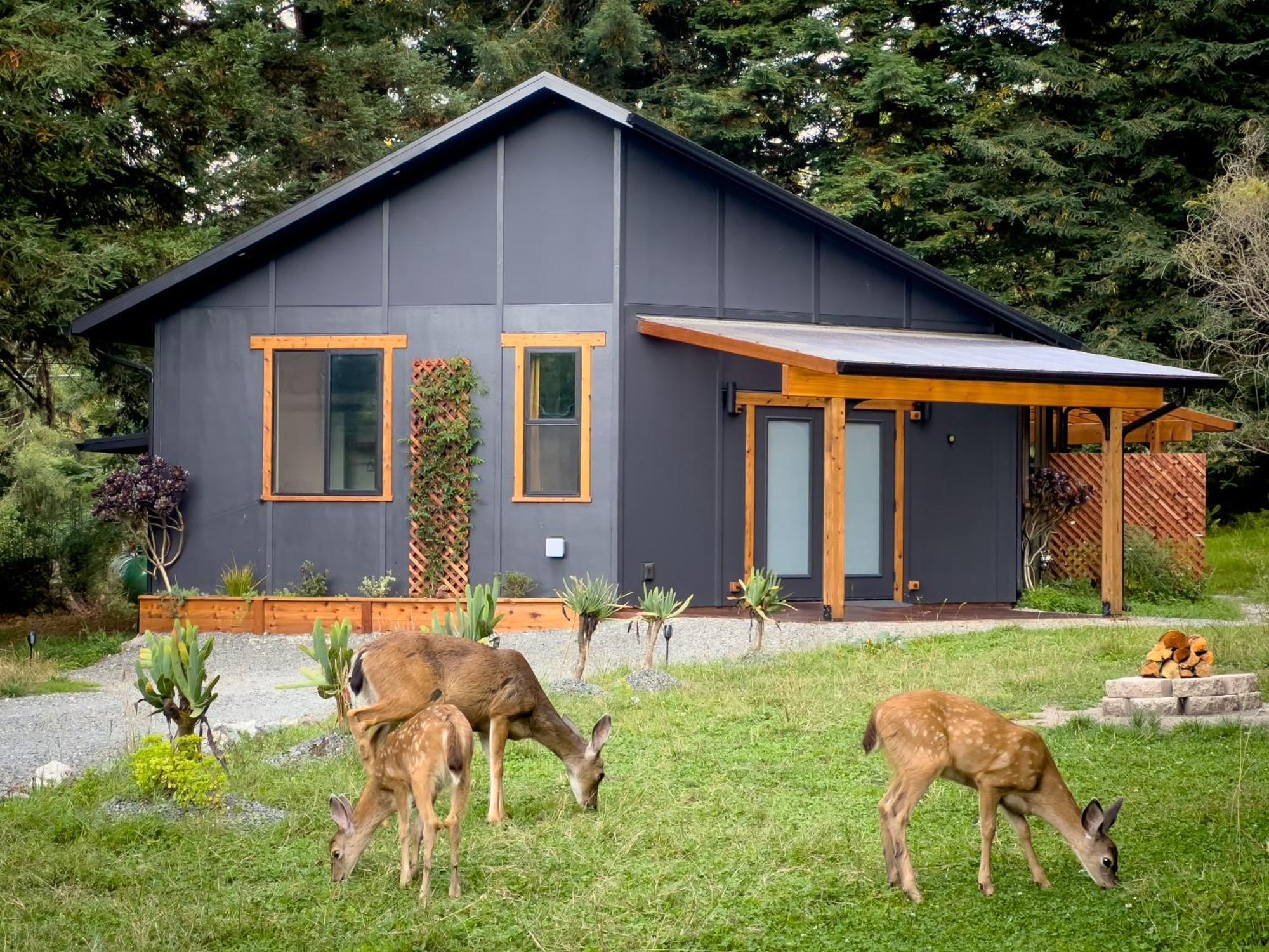 New, Modern, Country-Feel, Close To Arcata Exterior foto